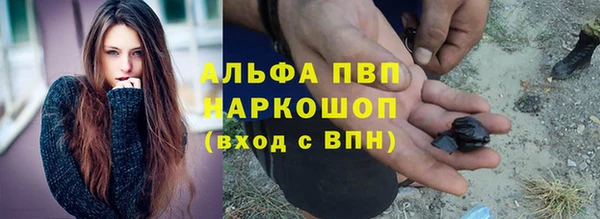 шишки Аркадак