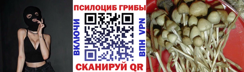 Галлюциногенные грибы GOLDEN TEACHER  Купить закладки  Новоуральск 